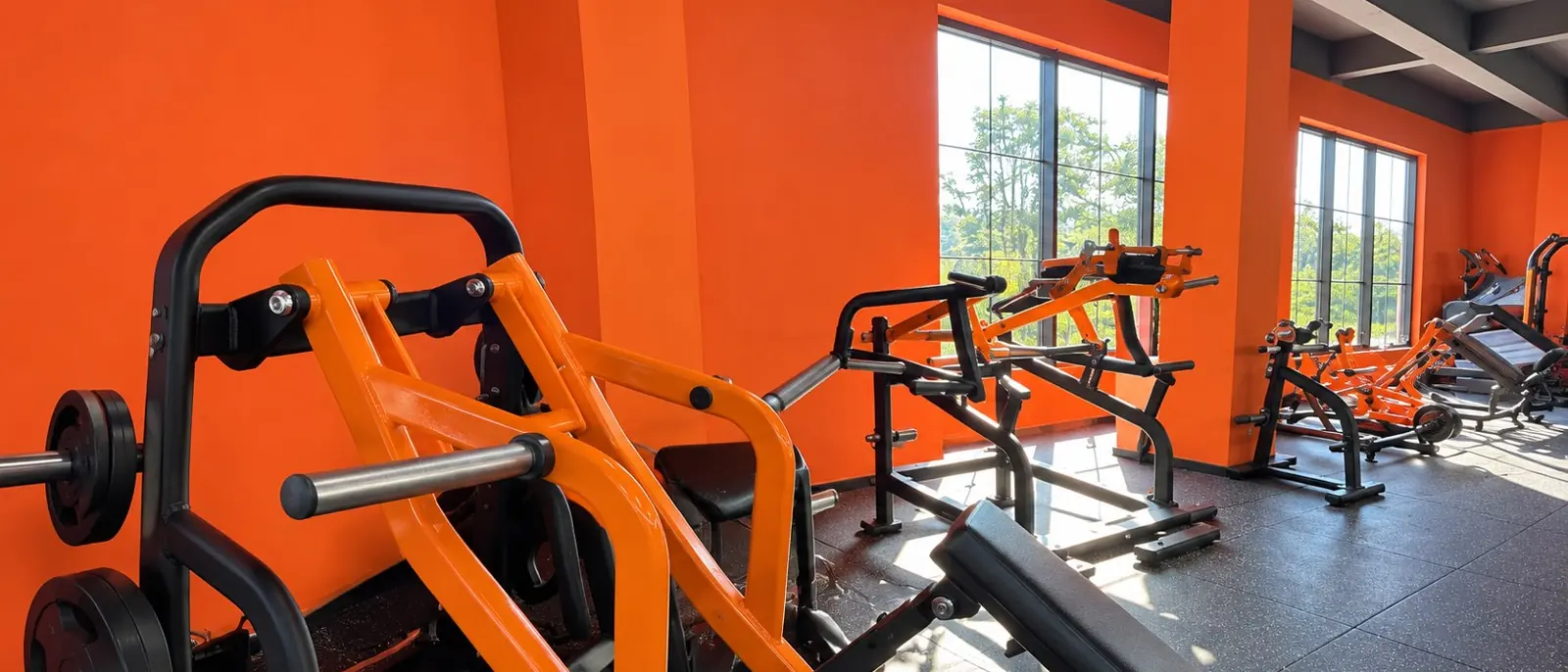 Strength gym with orange machines, racks and tall windows