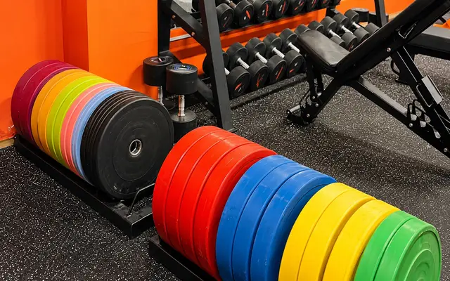 Bumper plates and dumbbells on racks